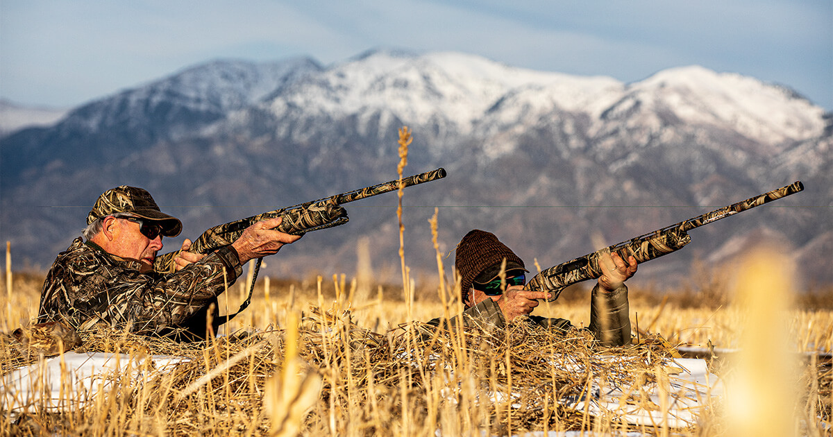 Can We Save the Great Salt Lake Ducks Unlimited
